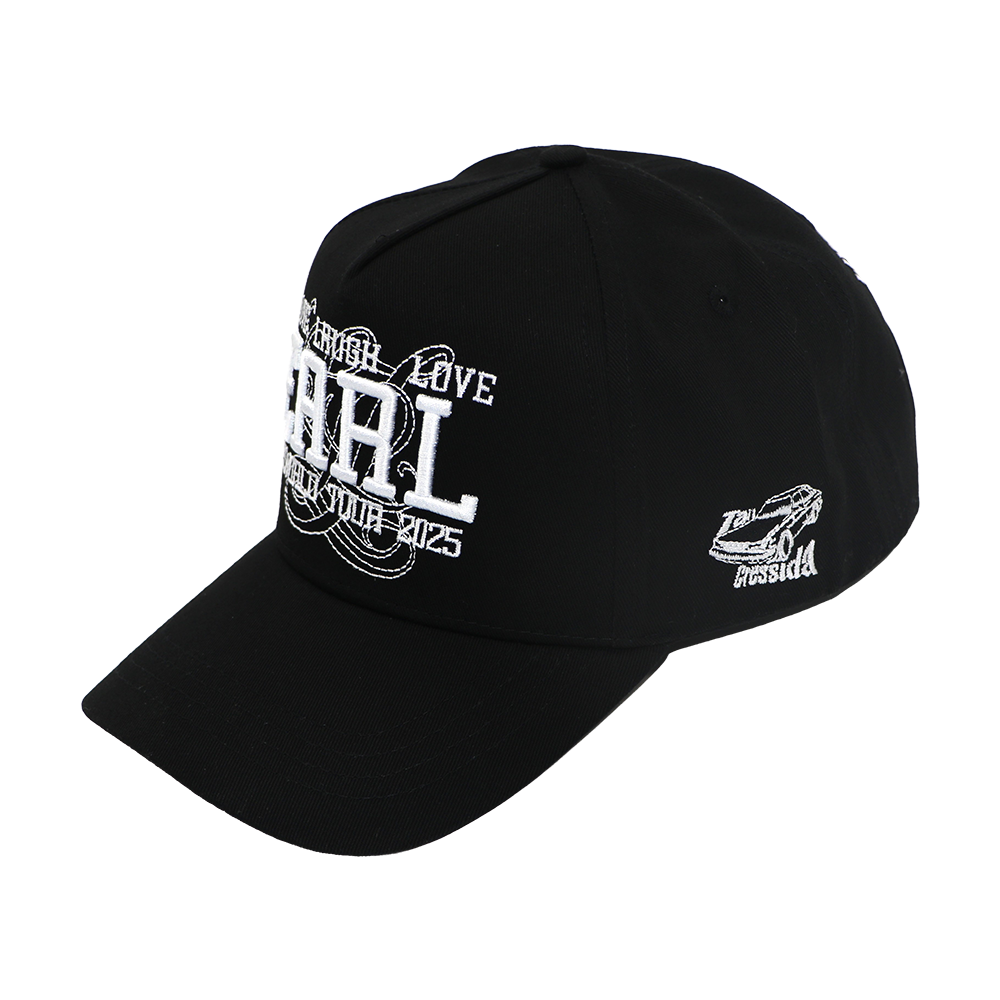 EARL SWEATSHIRT 2025 TOUR HAT